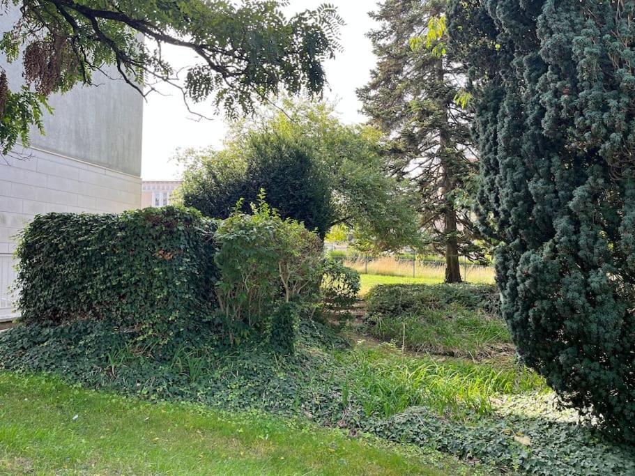 Gites Maisons De Champagnes رانس المظهر الخارجي الصورة